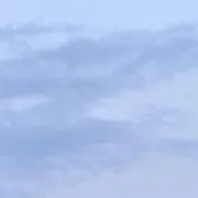 Mの画像