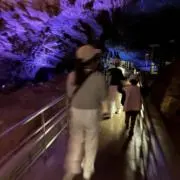 あゆの画像