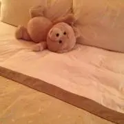 かんかん★の画像