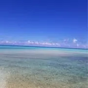 値下げ交渉→大歓迎❣｜ポチShop