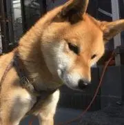 ユウジロウ