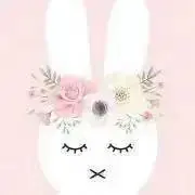 ♡warda♡の画像