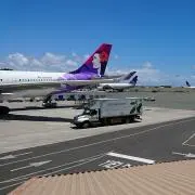 パピの画像