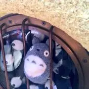 【値下げ不可】ほりの画像