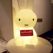 RiRiの画像
