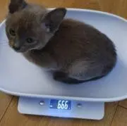 ムムム