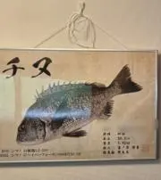 Surfの画像