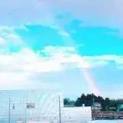 ルカたんの画像
