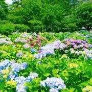 あいあい相棒＊プロフ必読