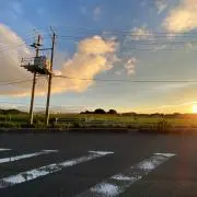 おっとっと。の画像