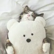 りさの画像