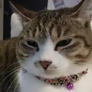 monmom