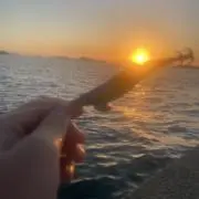 釣り好き