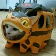 タピオカパン