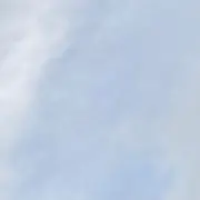 美樹の画像