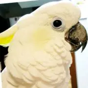 のん☆プロフ確認♪土日祝✕の画像