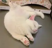 milk☆プロフ一読願いますの画像