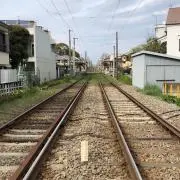 mochaの画像