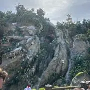 プルー