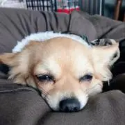 みぃ