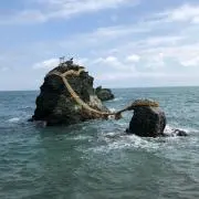 Ｙ.Ｙ.Ｋの画像