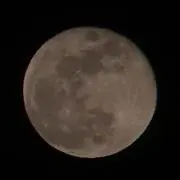 Г. Омукя
