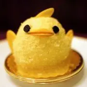 ぴよの画像