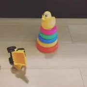 ポプラの画像