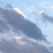 はな