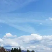 atkfの画像