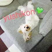 yushikon☆プロフ必ずご覧くださいの画像