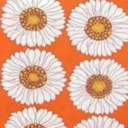 ☆なつ☆の画像
