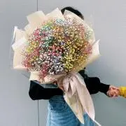 miniの画像
