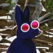 ダイラの画像