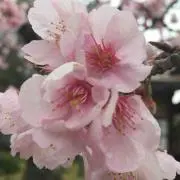 すやすや★プロフ読んでの即購入歓迎の画像
