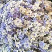にこの画像