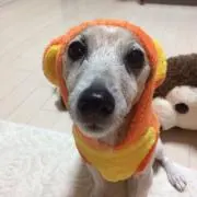 警部ガロの画像