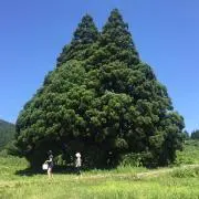 kappppioの画像