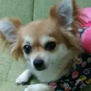 ひで