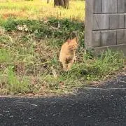 暫くお取引休止致します。