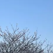 なな