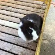 みきゆあ【プログ読んで下さい☆】の画像