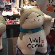タンポポ