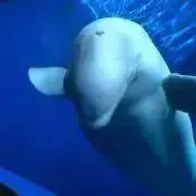 まぁちゃん　◉発送についてプロフ必読！◉の画像