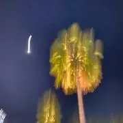 いの画像