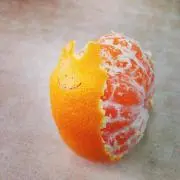 ぽんの画像