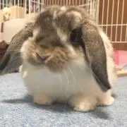 Natsumiの画像