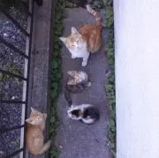 i7