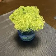 AKの画像