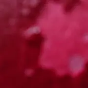 赤の画像